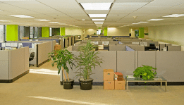 10 Easy Hacks that motivates your employees at the workstation
