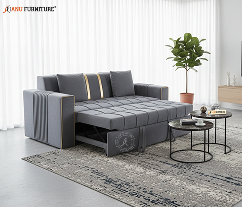 Sofa Cum Beds