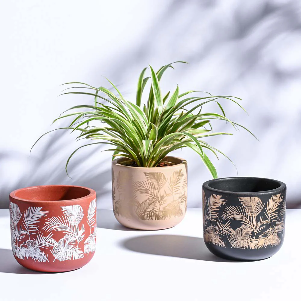 Flower Pots & Planters