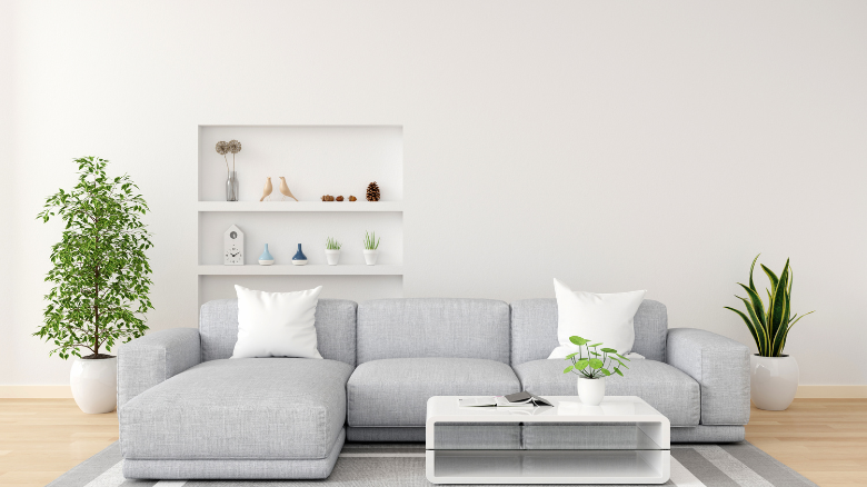 Timeless Furniture Designs That Never Go Out of Style