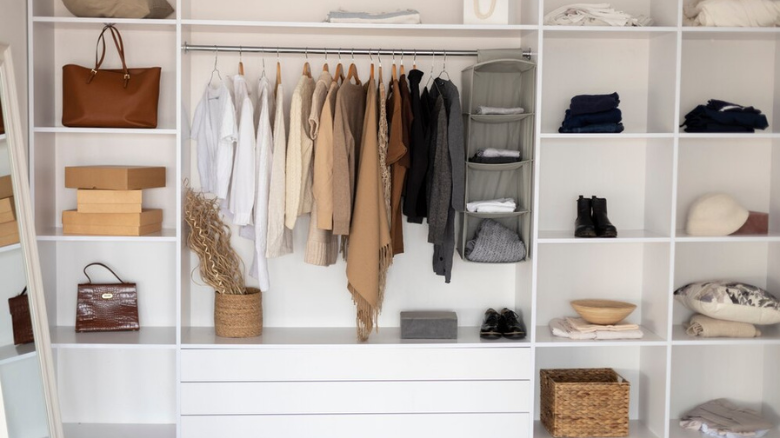 Wardrobe Organization: Tips for Choosing the Right Closet